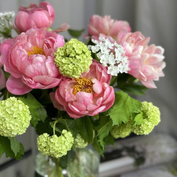 Subskrypcja Specjalna