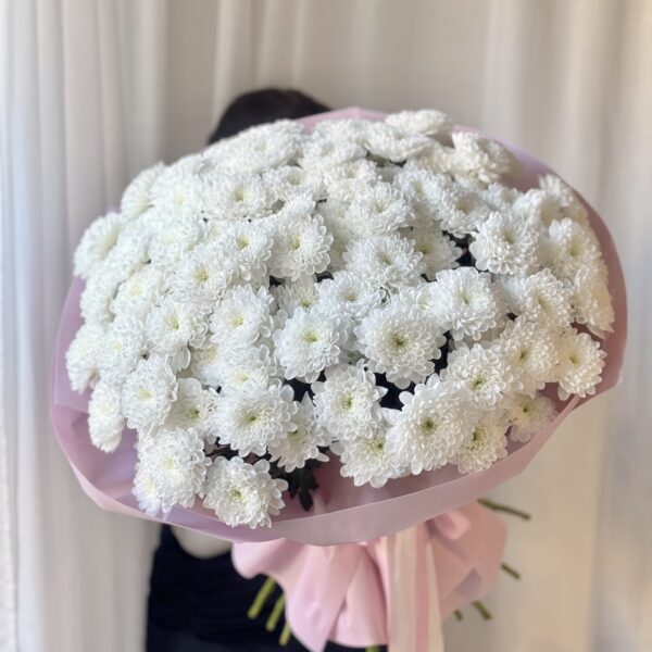 Bukiet białych margaretek