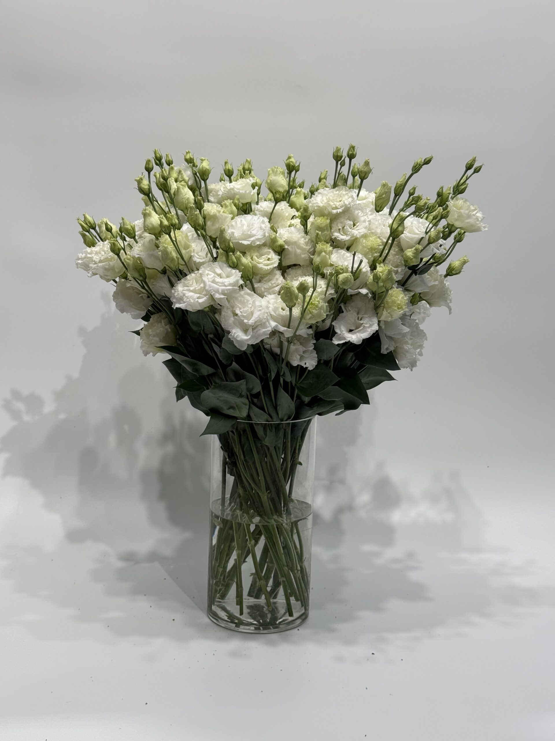 Eustoma - obrazek 2