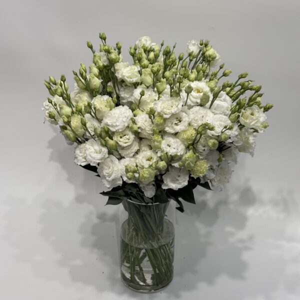 Eustoma