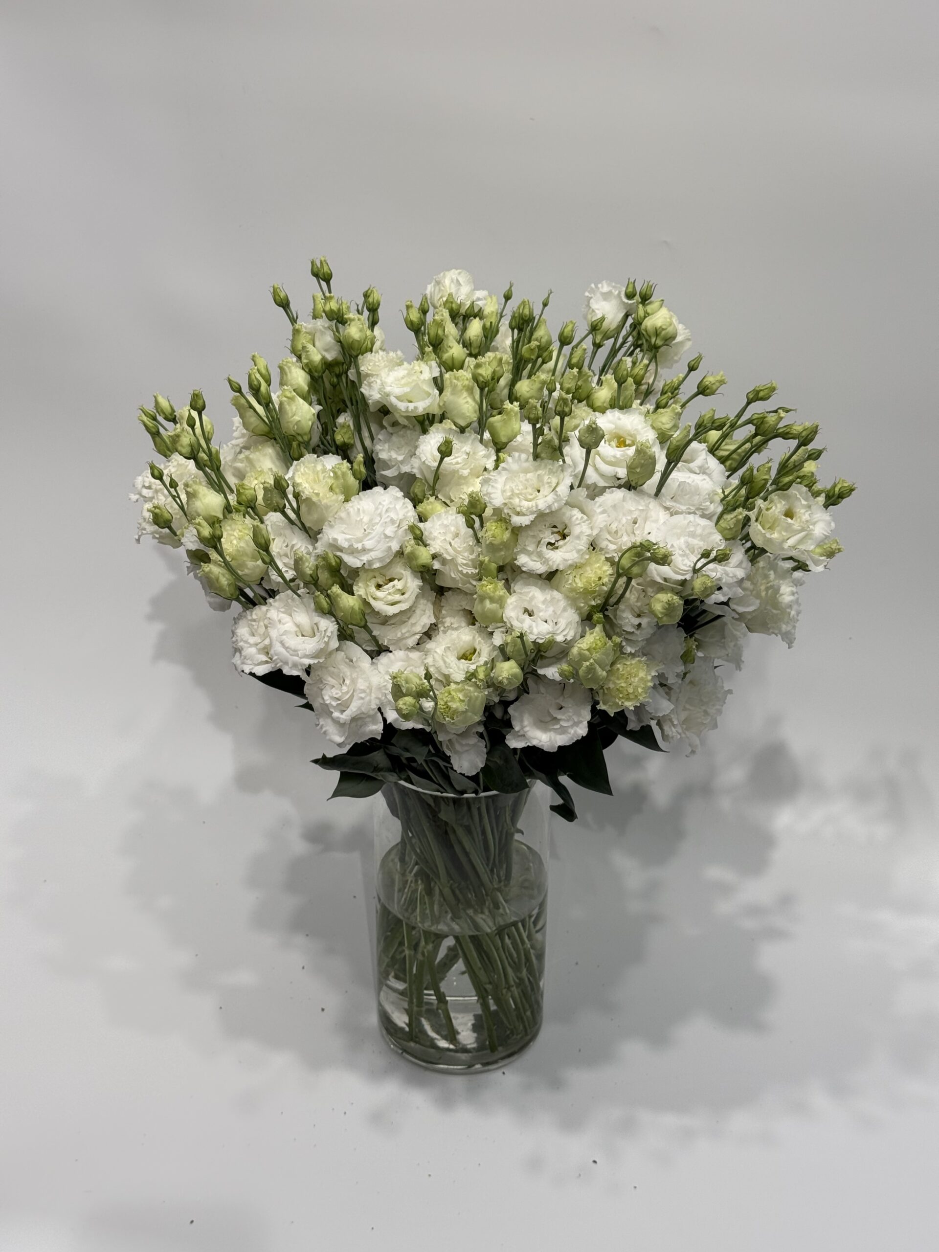 Eustoma