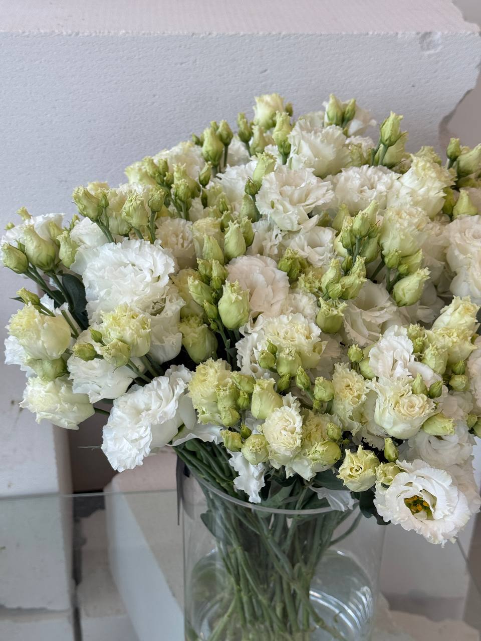Eustoma