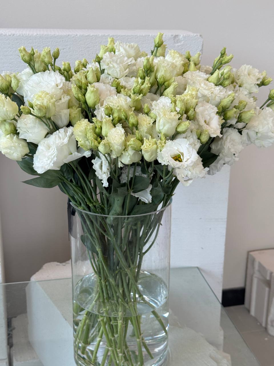 Eustoma - obrazek 2
