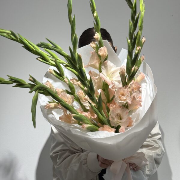 Bukiet Gladiolus